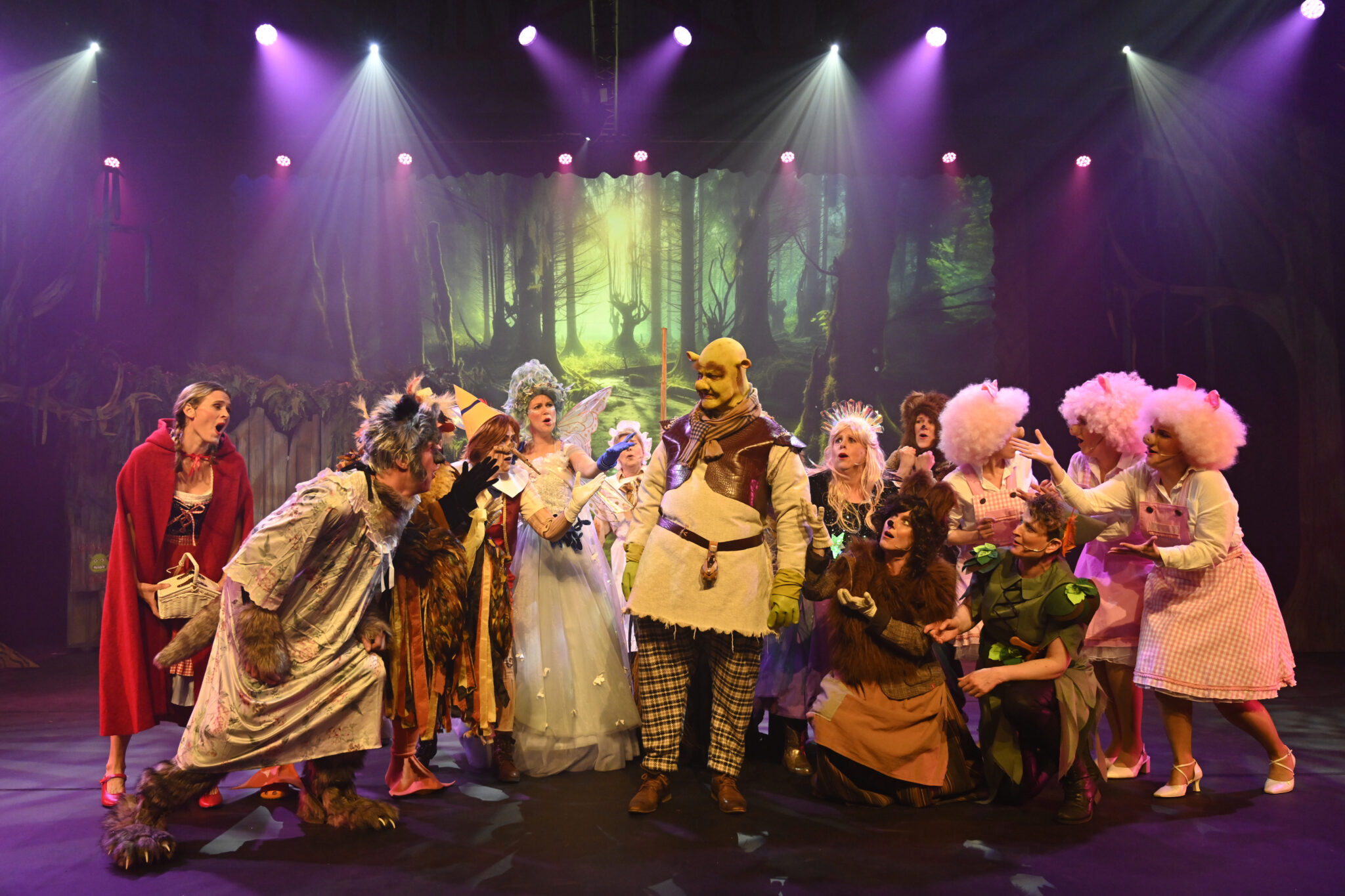 Shrek de musical in Oudewater april 2024 | Treatief.nl